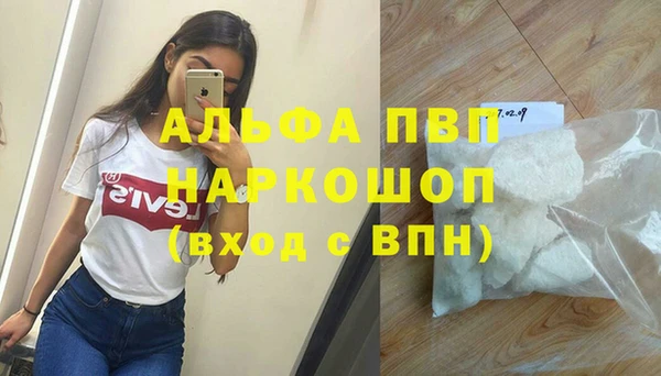 шишки Великий Новгород