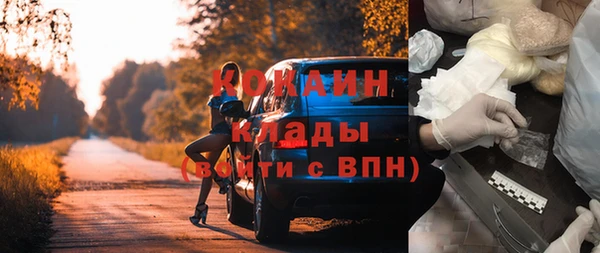 амф Козельск