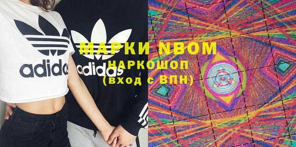 шишки Великий Новгород