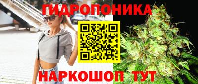 СК Комсомольск-на-Амуре