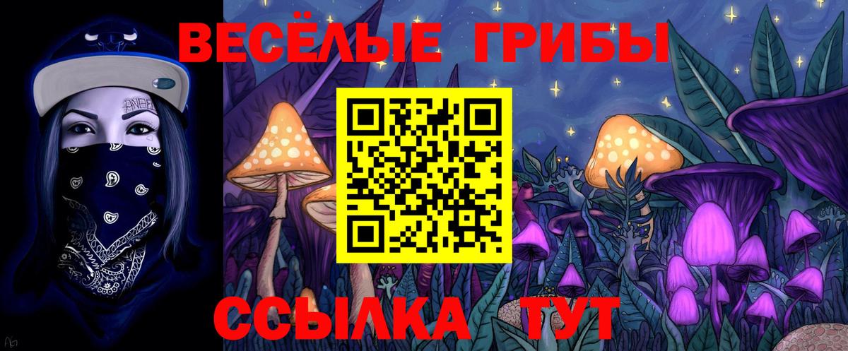 Псилоцибиновые грибы ЛСД Сокол